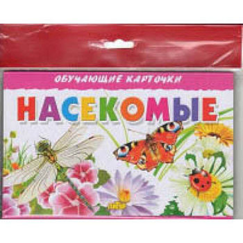 Насекомые Насекомые