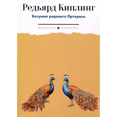 Зарубежная классика, книга Безумие рядового Ортериса купить по скидке