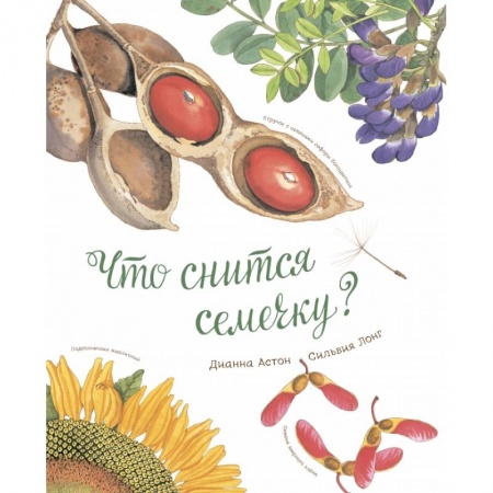 Книги, книга Что снится семечку? купить по скидке