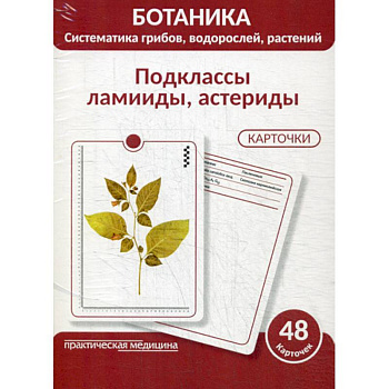 Ботаника. Систематика грибов, водорослей, растений. Подклассы ламииды, астериды Ботаника. Систематика грибов, водорослей, растений. Подклассы ламииды, астериды