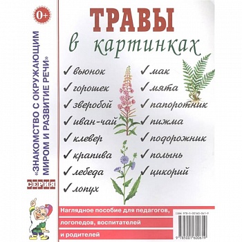 Травы в картинках. Наглядное пособие для логопедов, педагогов, воспитателей и родителей