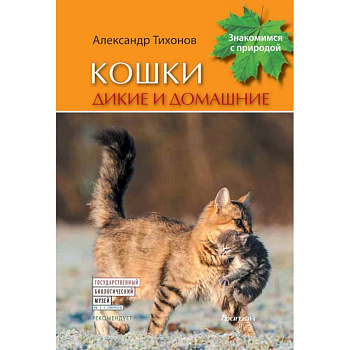 Кошки дикие и домашние Кошки дикие и домашние