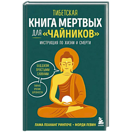 Эзотерика. Оккультизм, книга Тибетская Книга мертвых для 'чайников'. Инструкция по жизни и смерти купить по скидке