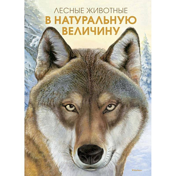 Лесные жители в натуральную величину Лесные жители в натуральную величину