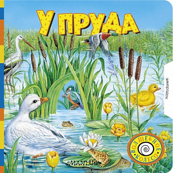 У пруда У пруда