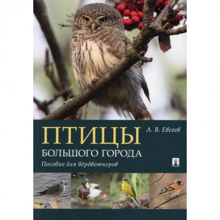 Зоология, книга Птицы большого города купить по скидке