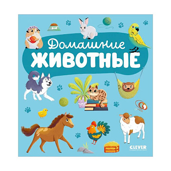 Домашние животные Домашние животные
