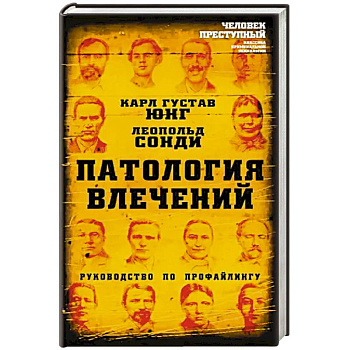 Патология влечений. Руководство по профайлингу Патология влечений. Руководство по профайлингу