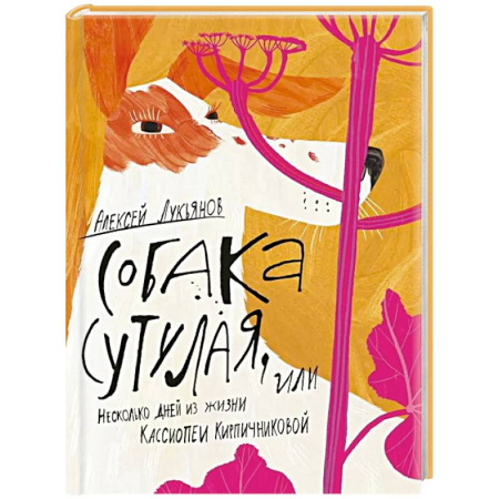 Отечественная литература для детей, книга Собака сутулая, или Несколько дней из жизни Кассиопеи Кирпичниковой купить по скидке