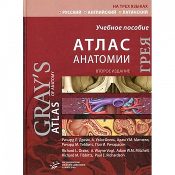 Атлас анатомии Грея