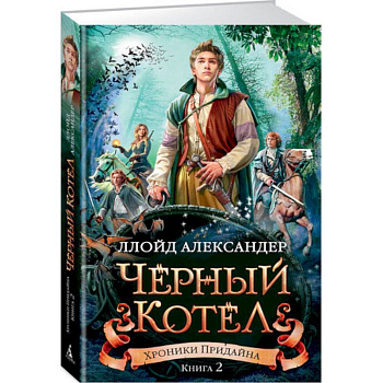 роники Придайна. Книга 2. Чёрный котёл роники Придайна. Книга 2. Чёрный котёл