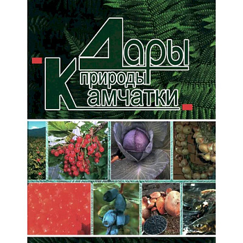 Дары природы Камчатки Дары природы Камчатки