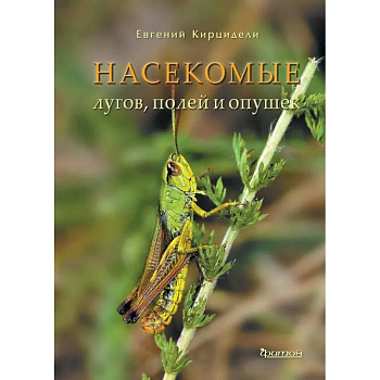 Насекомые лугов, полей и опушек