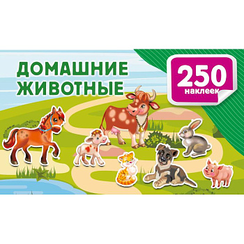 Домашние животные Домашние животные