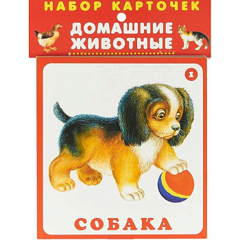 Набор карточек. Домашние животные Набор карточек. Домашние животные
