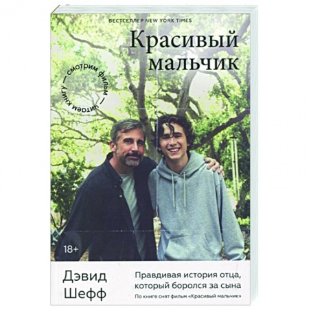 История, биография, мемуары, книга Красивый мальчик. Правдивая история отца, который боролся за сына купить по скидке