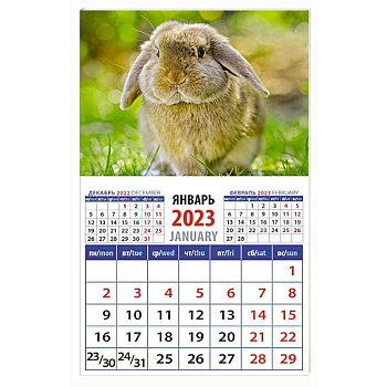 Календарь Год кролика. Обаятельный и привлекательный, на 2023 год