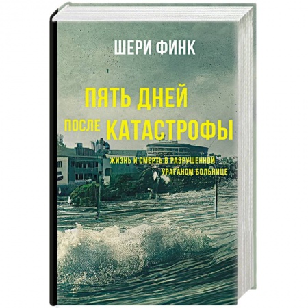 Общество, книга Пять дней после катастрофы купить по скидке