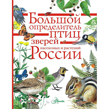 Большой определитель зверей, амфибий, рептилий, птиц, насекомых и растений России Большой определитель зверей, амфибий, рептилий, птиц, насекомых и растений России