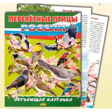 Животный и растительный мир, книга Перелетные птицы России купить по скидке