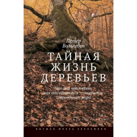 Биологические науки, книга Тайная жизнь деревьев. Что они чувствуют, как они общаются - открытие сокровенного мира. купить по скидке