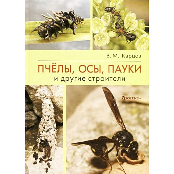 Пчёлы, осы, пауки и другие строители Пчёлы, осы, пауки и другие строители