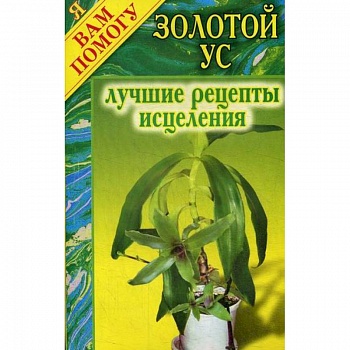 Золотой ус: лучшие рецепты исцеления Золотой ус: лучшие рецепты исцеления