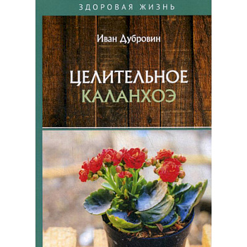 Целительное каланхоэ Целительное каланхоэ