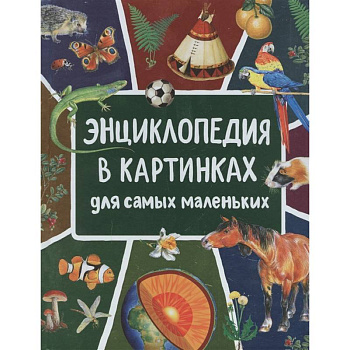 Энциклопедия в картинках для самых маленьких Энциклопедия в картинках для самых маленьких