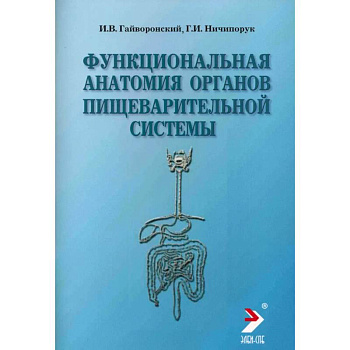 Функциональная анатомия органов пищеварительной системы (строение, кровоснабжение, иннервация, лимфоотток): Учебное пособие
