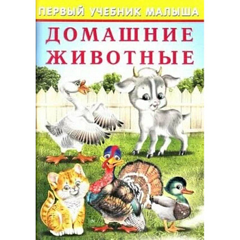 Домашние животные Домашние животные