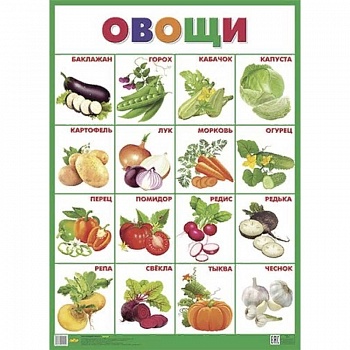 Плакат. Овощи