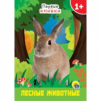 Лесные животные Лесные животные