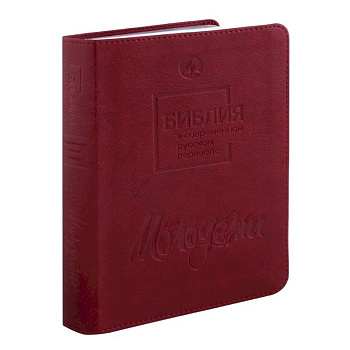 Библия для молодежи в современном русском переводе Библия для молодежи в современном русском переводе