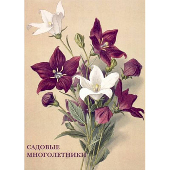 Садовые многолетники Садовые многолетники