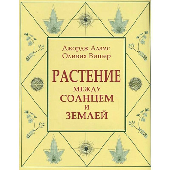 Растение между солнцем и землей: учение о физическом и эфирном пространстве Растение между солнцем и землей: учение о физическом и эфирном пространстве