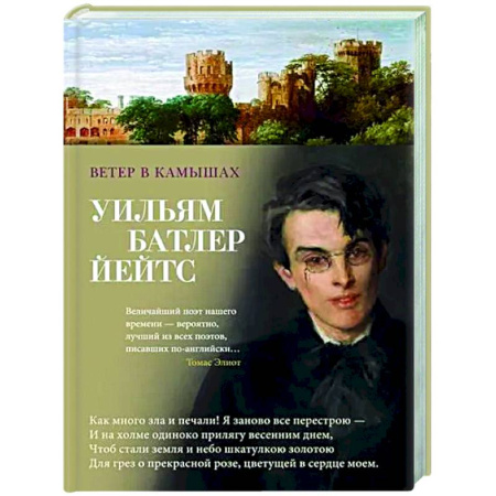 Зарубежная поэзия, книга Ветер в камышах купить по скидке