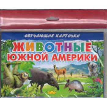Животные Южной Америки Животные Южной Америки