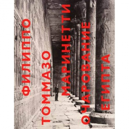 Заметки путешественника, книга Очарование Египта купить по скидке