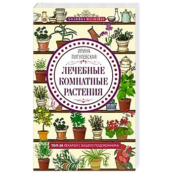 Лечебные комнатные растения. ТОП20 лекарей с вашего подоконника Лечебные комнатные растения. ТОП20 лекарей с вашего подоконника