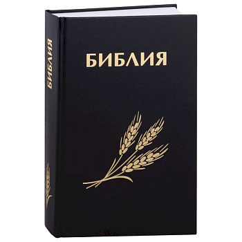 Библия. Книги Священного Писания Ветхого и Нового Завета Библия. Книги Священного Писания Ветхого и Нового Завета