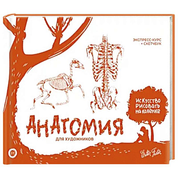 Анатомия для художников. Экспресс-курс + скетчбук Анатомия для художников. Экспресс-курс + скетчбук