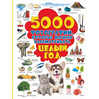 5000 фотографий, которые можно рассматривать целый год 5000 фотографий, которые можно рассматривать целый год