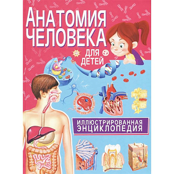 Анатомия человека для детей. Иллюстрированная энциклопедия Анатомия человека для детей. Иллюстрированная энциклопедия
