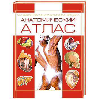 Анатомический атлас. Основы строения и физиологии человека