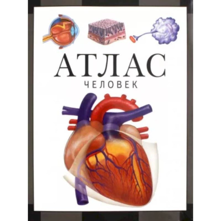 Анатомия и физиология человека, книга Человек. Атлас купить по скидке