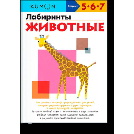 Развитие общих способностей, книга Лабиринты. Животные. купить по скидке