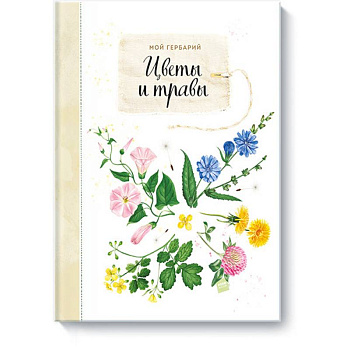 Мой гербарий. Цветы и травы