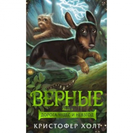 Сказки зарубежных писателей, книга Верные. Книга 3. Дорога чудес и невзгод купить по скидке