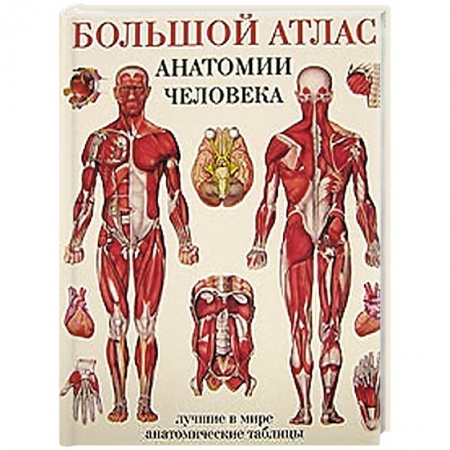 Книги, книга Большой атлас анатомии человека купить по скидке